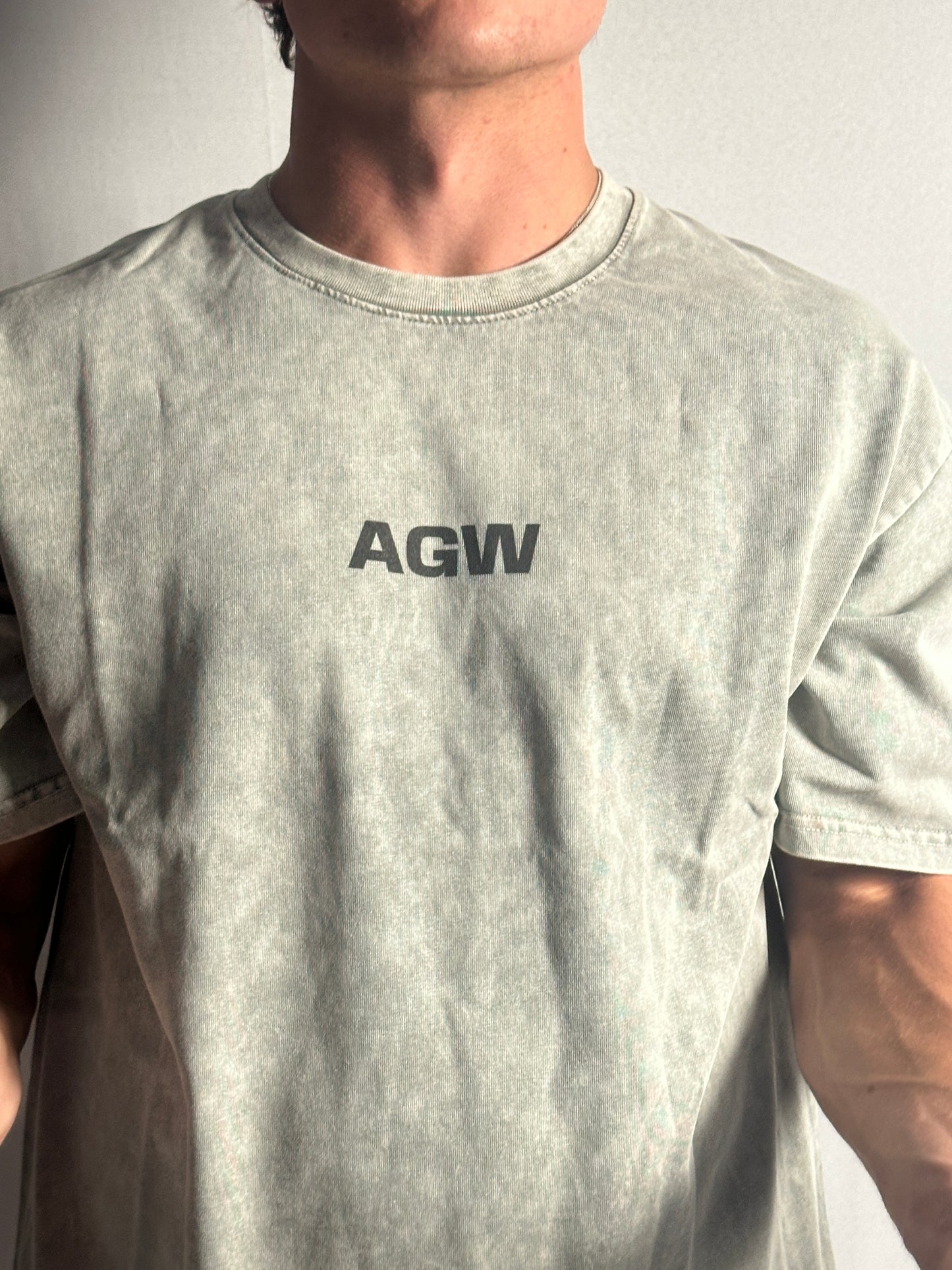 Aegis Blessed Acid Washed Pump Cover – Light Grey