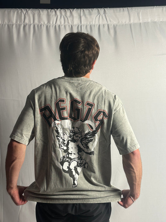 Aegis Blessed Acid Washed Pump Cover – Light Grey